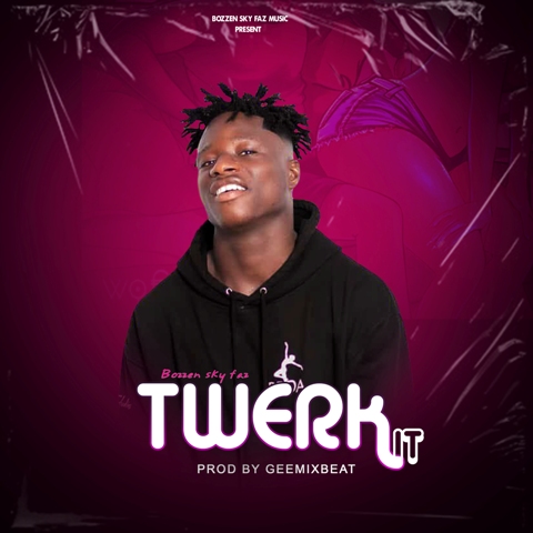 Bozzen Sky Faz - Twerk it