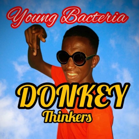 Sum Wone - Donkey Thinkers