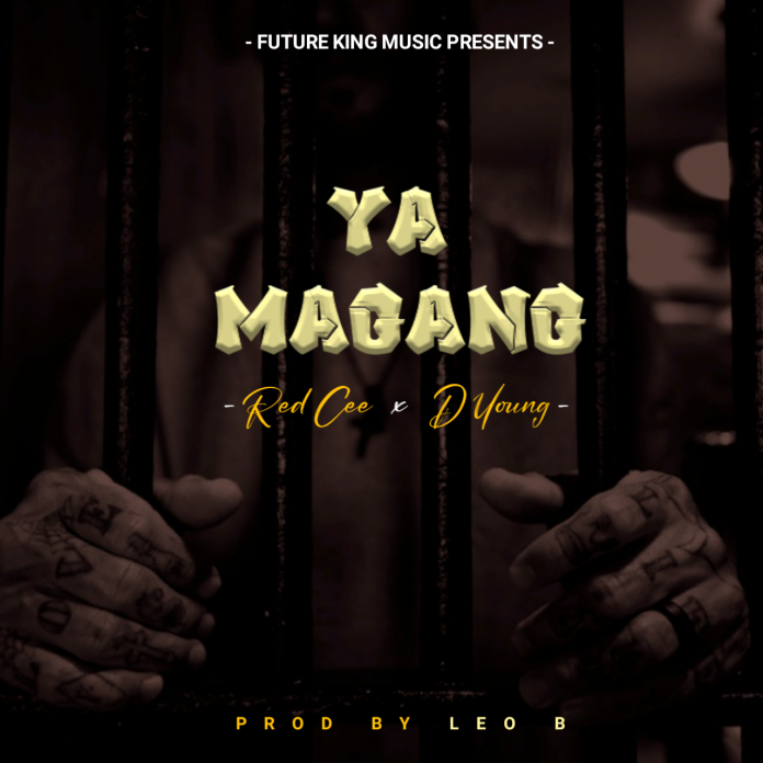 YA_MAGANG