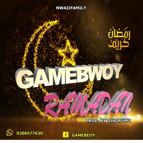 gamebwoy1