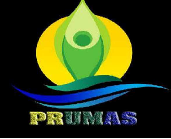 prumas