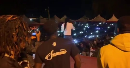 samini